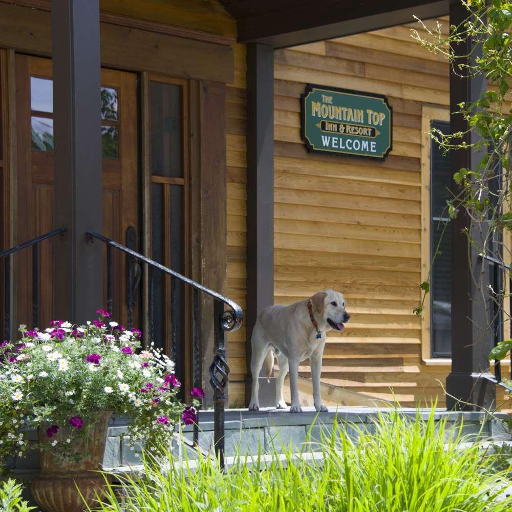The Mountain Top Inn & Resort Chittenden Amenidades foto